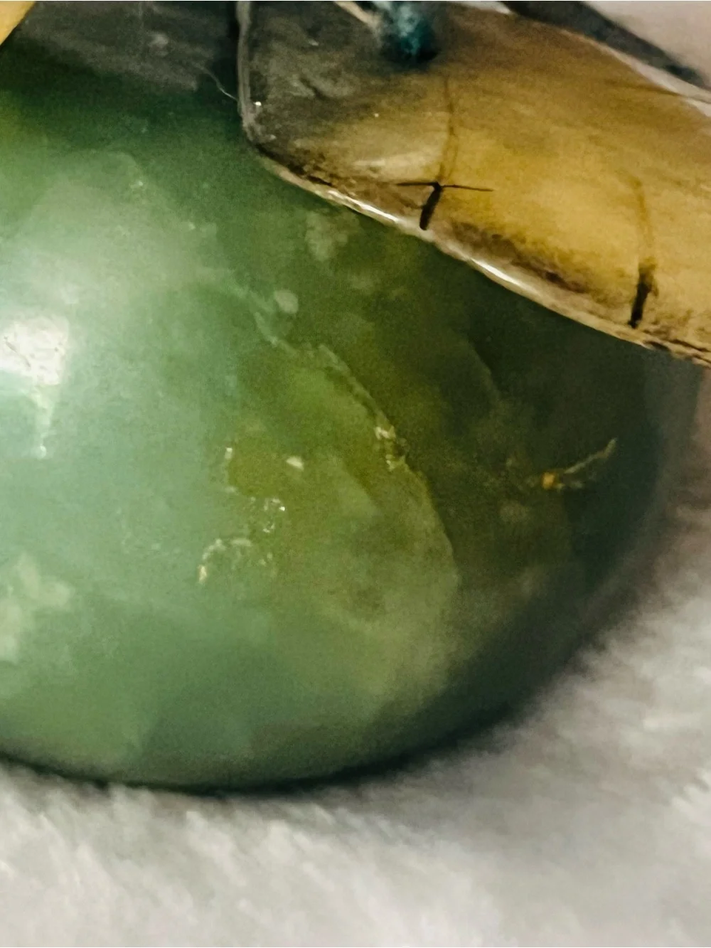 Decorative Green Apple Accent with Brown Leaf Stem